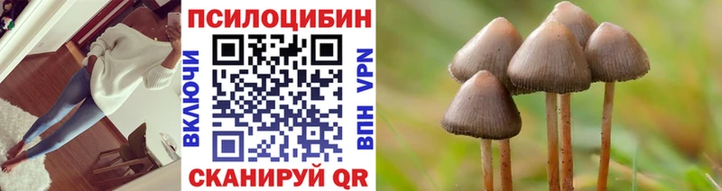 Псилоцибиновые грибы мухоморы  Жердевка 